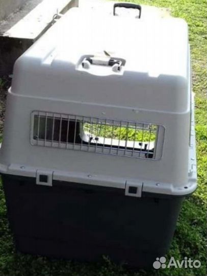 Перевозка для собак средних и крупных пород