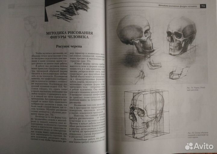 Рисунок головы и фигуры человека