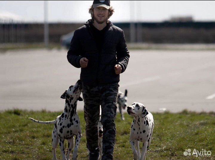 Зоопсихолог (коррекция поведения)