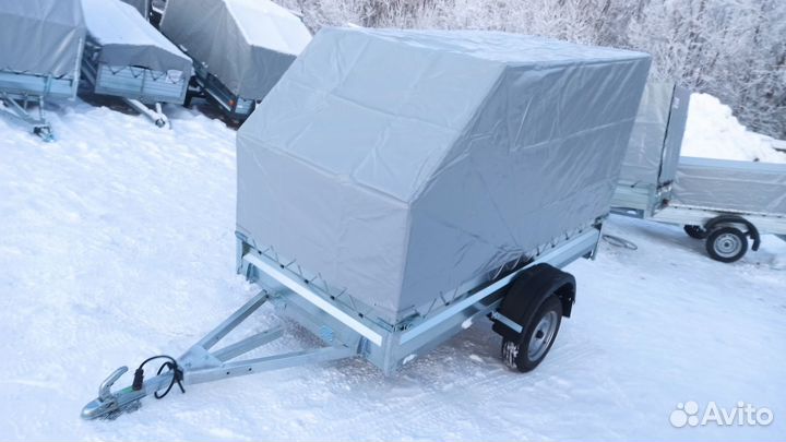 Прицеп 2.5х1.25 полный комплект rinal