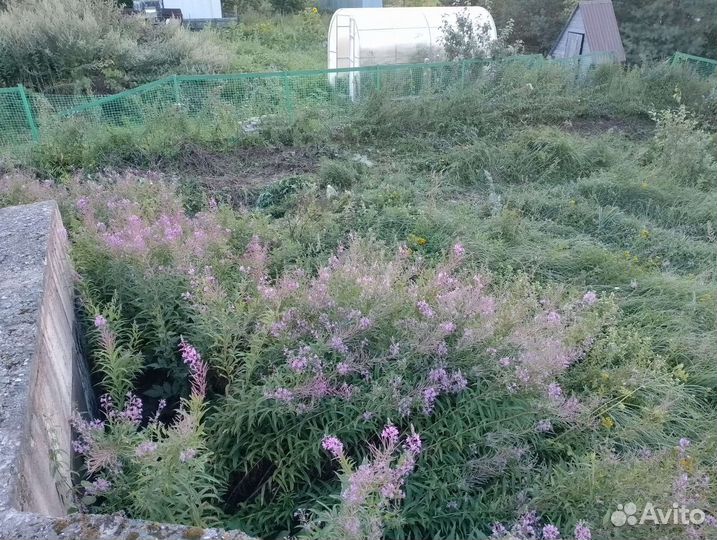 Услуги косить траву