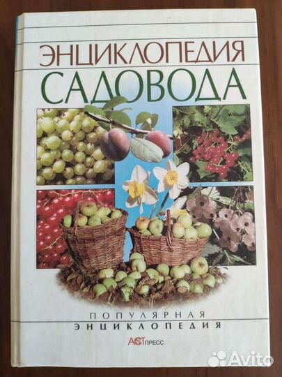 Б. Стокер Скорбь Сатаны