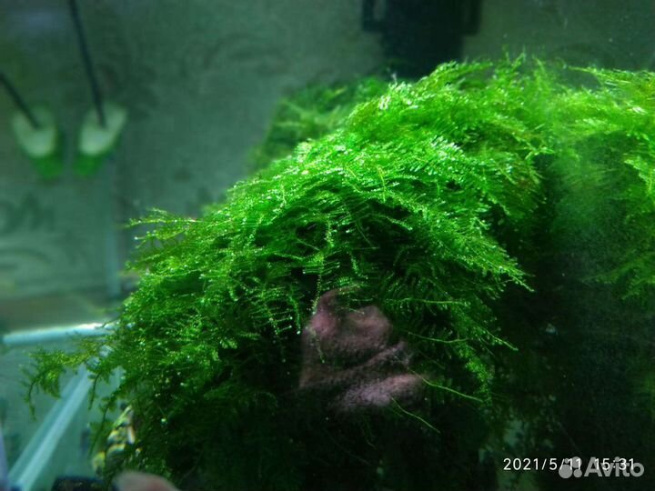 Украшение для аквариума