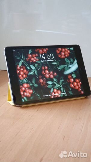 iPad mini 2