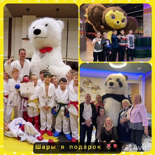 Поздравление Мишка/Чебурашка/ Панда /Аниматоры