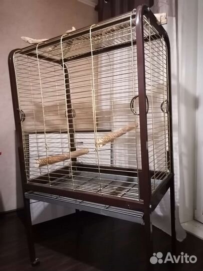 Клетка для большого попугая