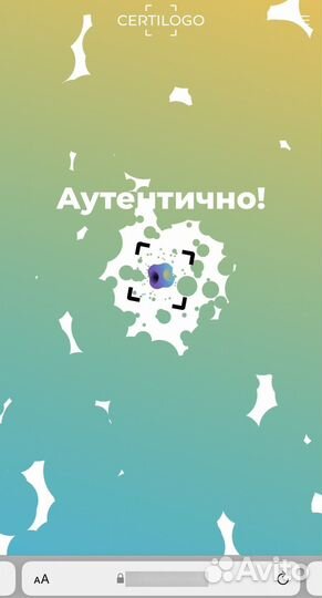 C p company шапка(оригинал)