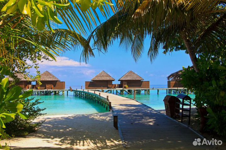 Отдых на Мальдивы от. 3 * (звезды)