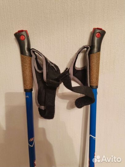 Лыжные палки kv tornado