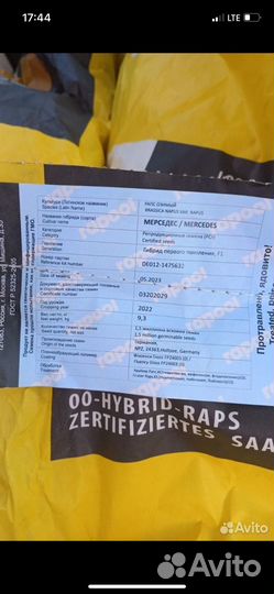 Озимый рапс