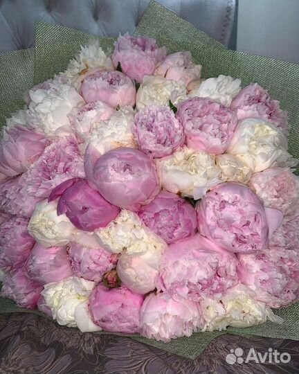 Букеты пион с доставкой