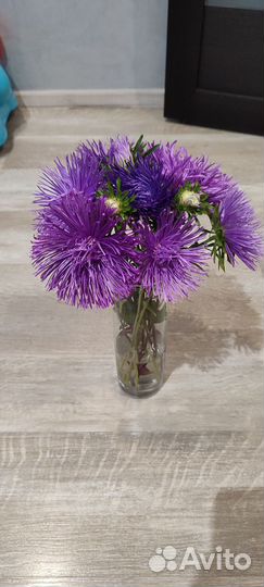 Букет цветов на 1 сентября