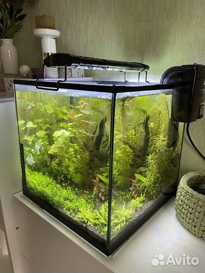 Аквариум кубик 25л