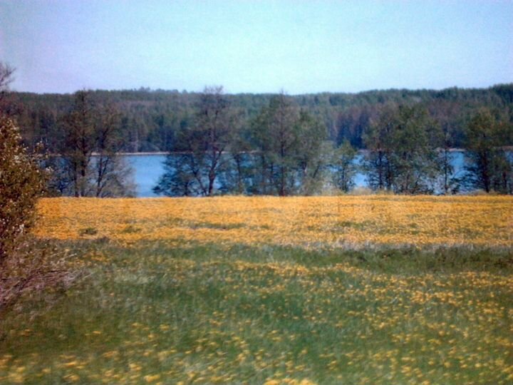 Участок 9 га (СНТ, ДНП)
