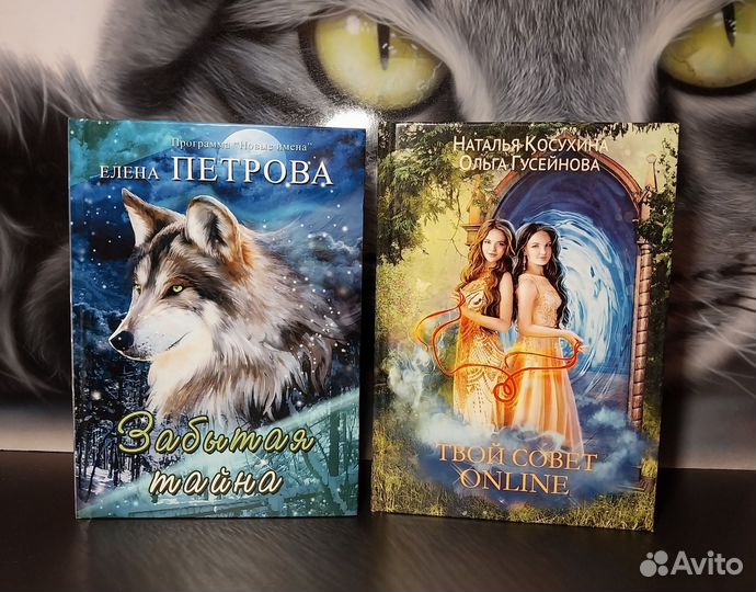 Книга фентези фантастика Гончарова, А. Лисина и др