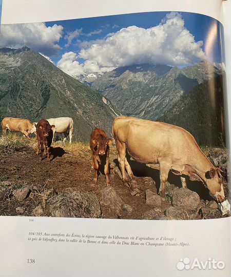 Коллекционная книга из Франции