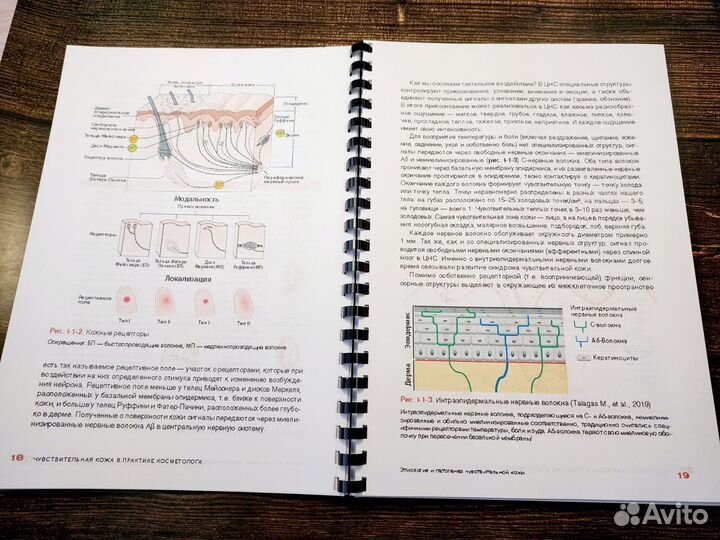 Чувствительная кожа в практике косметолога