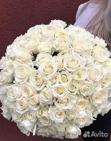 101 Роза Цветы Букеты 51 25 Роз Доставка