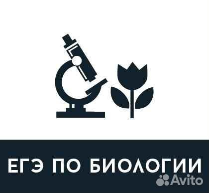 Подготовка к сдаче егэ и огэ по биологии