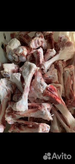 Продукты питания для животных кости