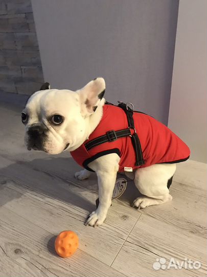 Теплый жилет