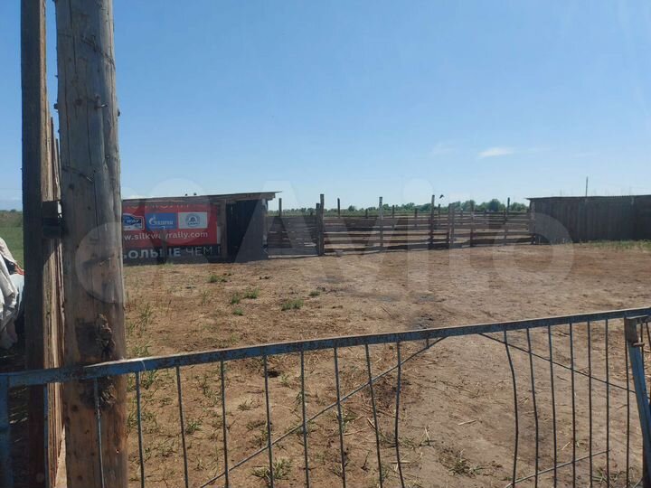 Участок 375 га (СНТ, ДНП)