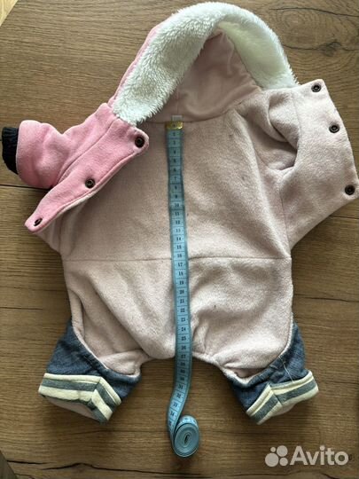 Одежда для собак