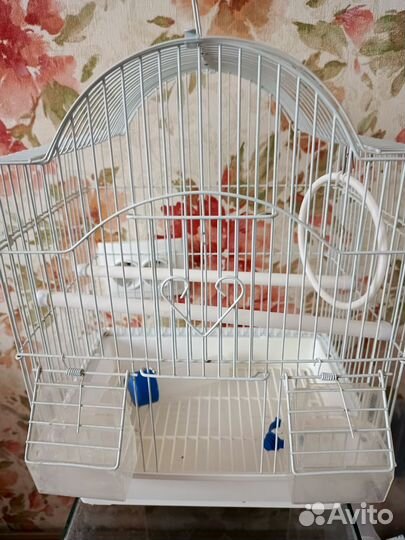 Клетка для волнистого попугая