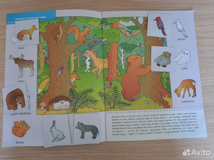 Развивающие пособия для детей 2-3 лет