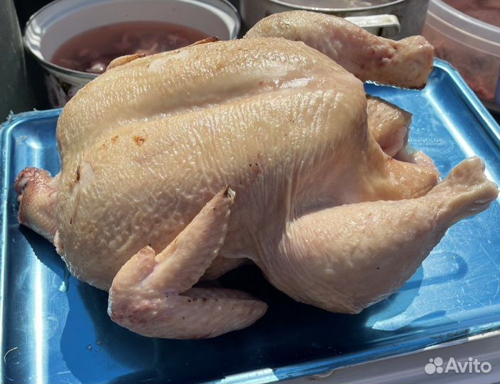 Домашнее мясо бройлера, утки, перепелов, петушков