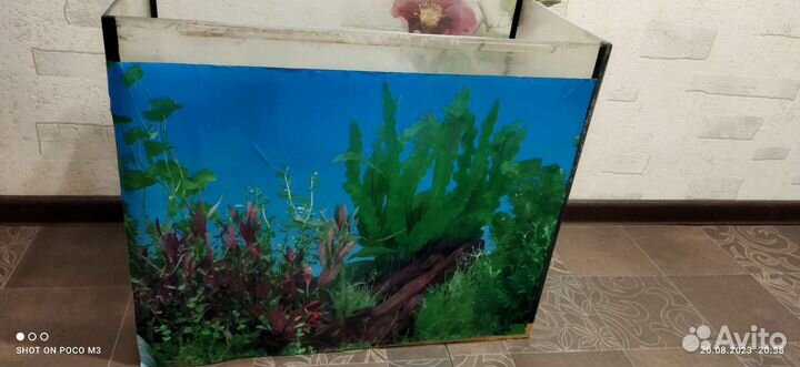 Аквариум