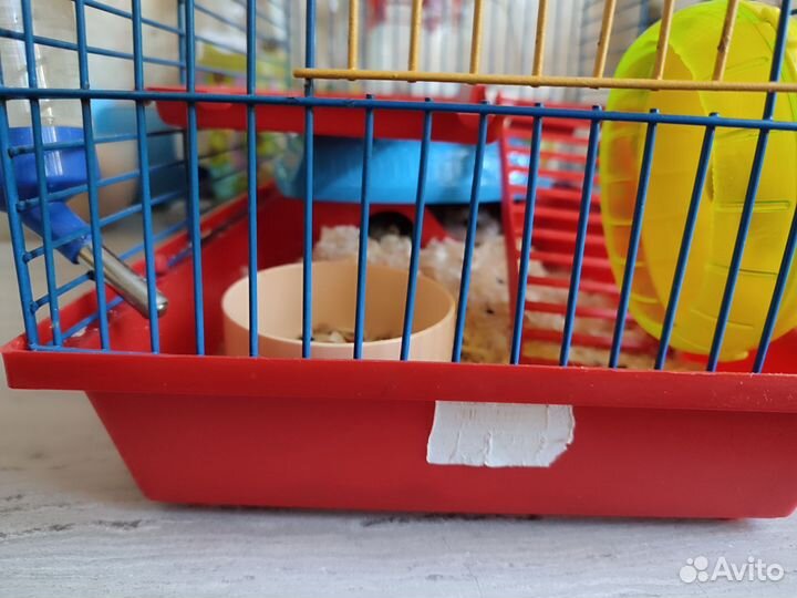 Клетка с хомяком