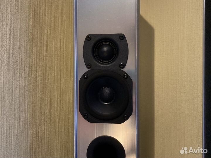 Акустичесская система Piega