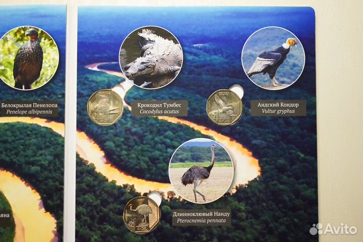 Набор 10 монет 1 соль Перу Красная книга в альбоме