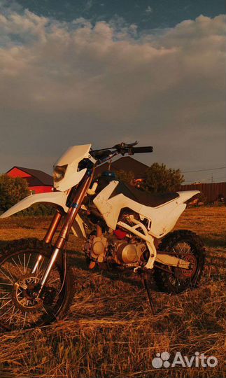 Пит байк Motoland apex 125