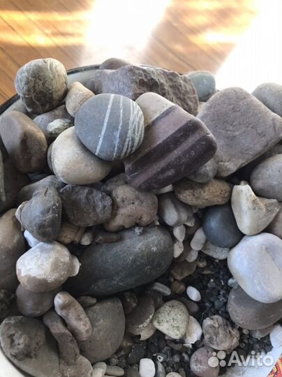 Гравий для аквариума