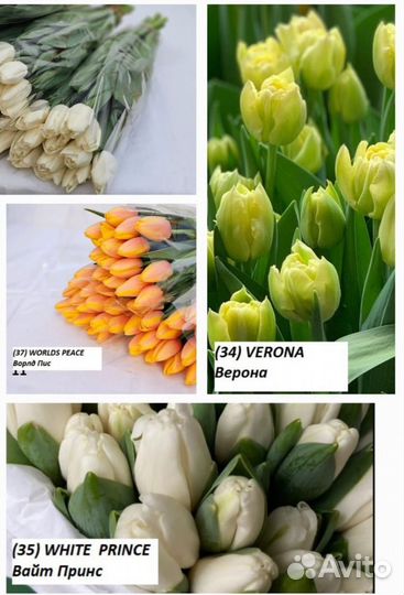 Тюльпаны к 8марта