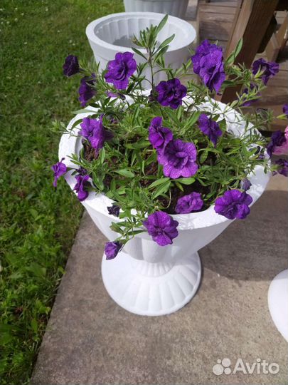 Уличный вазон из бетона с петуниями