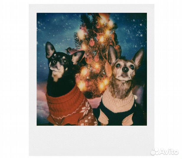 Кассеты Polaroid Color Film (для OneStep 2 и 600 с