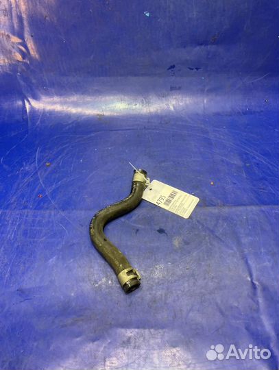 Патрубок радиатора Infinity Fx37 S51 VQ37VHR 2010