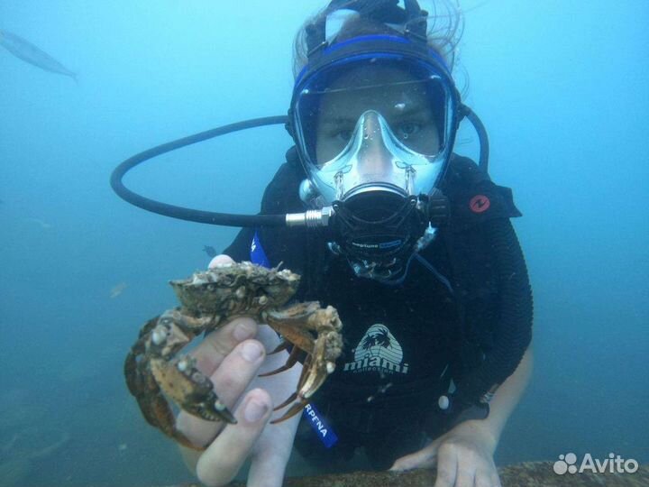 Дайвинг Сириус Адлер Сочи