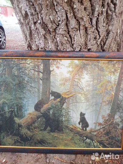 Красивые картины