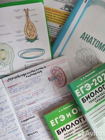 Конспекты по биологии для подготовки к егэ