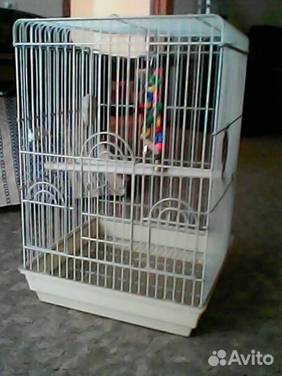 Клетка для птиц попугая