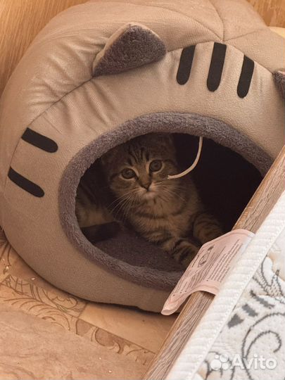 Домик для кошки