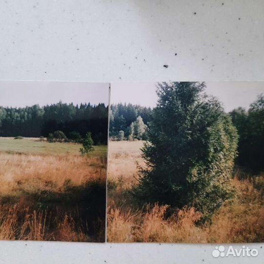 Трава на сено