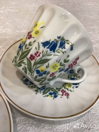 Чайные пары лфз лучистая