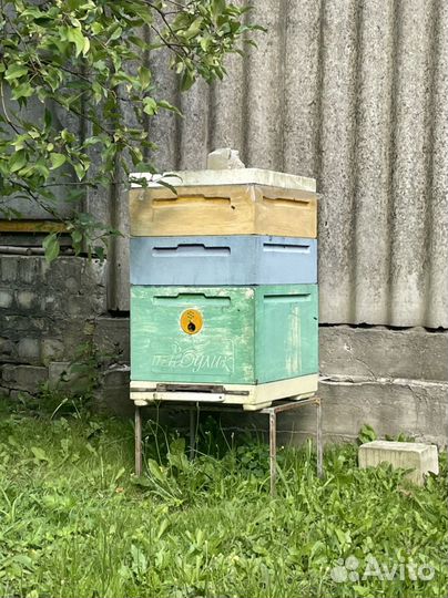 Ульи для пчел из ппу