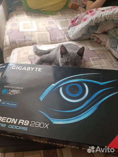 Видеокарта AMD Radeon R9 290x (торг)