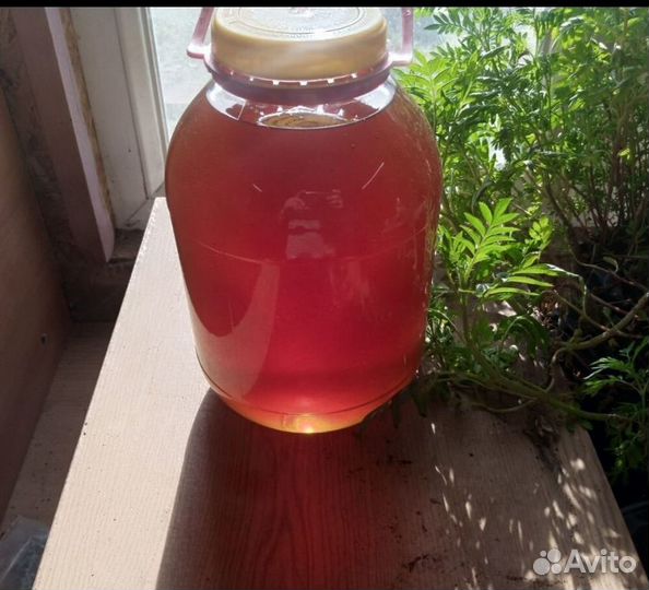 Мед Алтайский